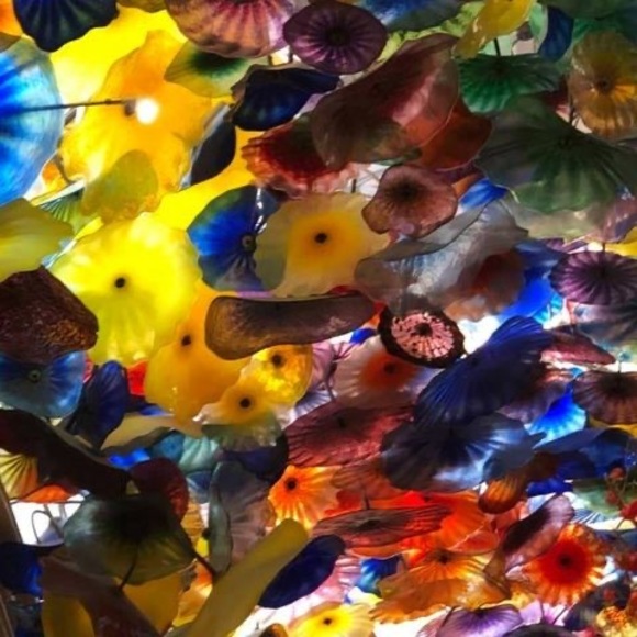 Meet your Posher, Manuela - Picture 1 of 1